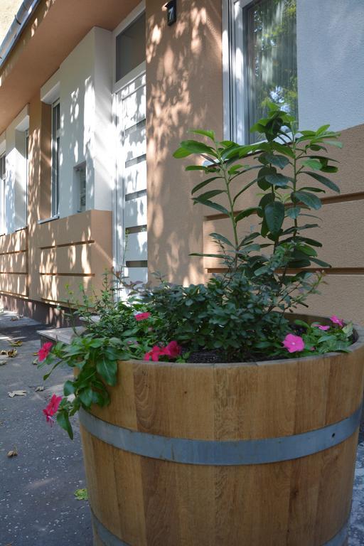 Bodza Apartmanok Эгер Экстерьер фото